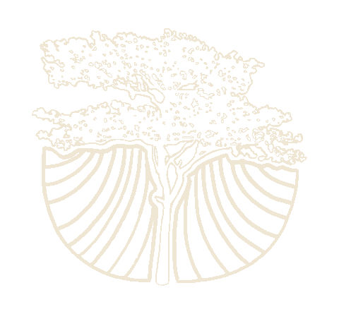 Mata Atlantica Moda Sticker by Pipe Content House