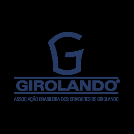girolando giphygifmaker GIF