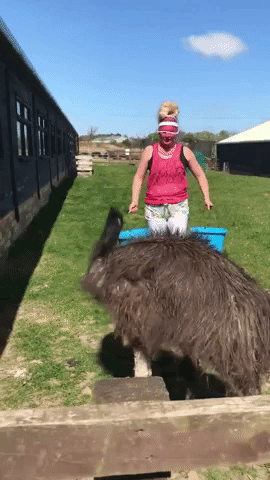 Emu Makes Terrible Personal Trainer