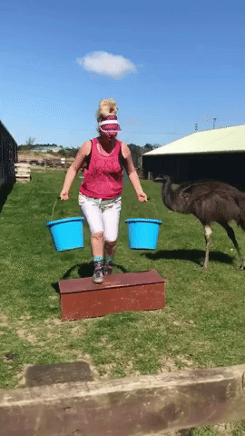 Emu Makes Terrible Personal Trainer