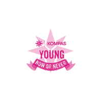 DigitalKOMPAS fun party young mondial Sticker