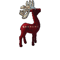 Quahome Sticker by Q Yatırım Holding