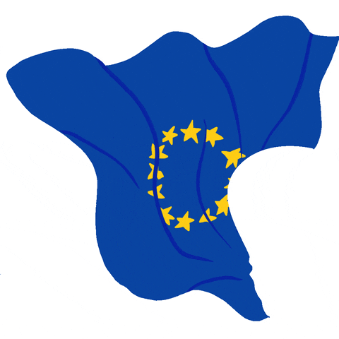 voting european union GIF by European Parliament