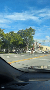 Florida Cyclist Jumping Red Lights Has Close Call With Oncoming Train