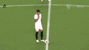 la liga soccer GIF by Sevilla Fútbol Club