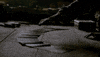 eva green tarot cards GIF by Showtime