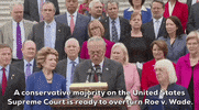 Supreme Court Democrats GIF by GIPHY News
