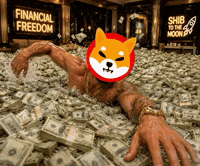 Shiba Inu GIF by SHIB GIFS