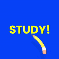 ayamurata school study learning hard GIF