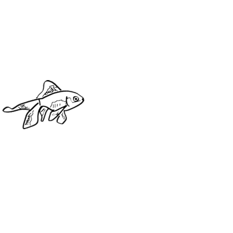 water shark Sticker by Colore_g