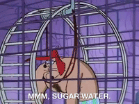nickrewind nicksplat angry beavers GIF