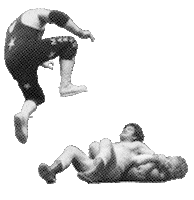 Luchadora Sticker by Palagurmé