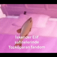 Isel GIF