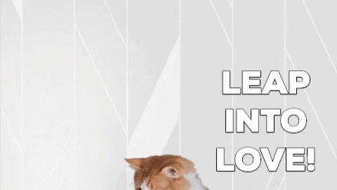 Leap Day Love GIF by Best Friends Animal Society