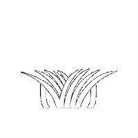 Stampede Hybrid Sticker by Lawn Solutions Australia