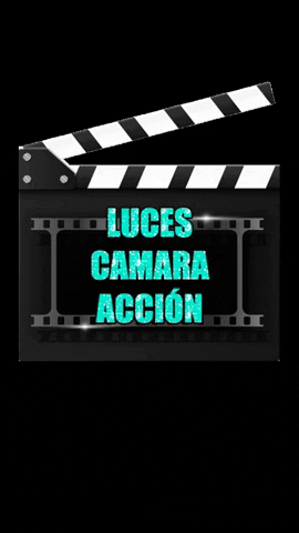 catsal62 giphygifmaker light action camera GIF