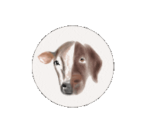 Dog Cooking Sticker