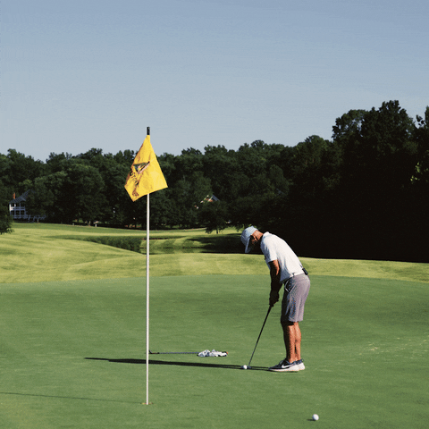 BrianKight giphyupload golf discipline dmgb GIF