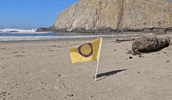 Beach Pride GIF by AceArchive