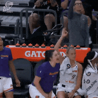 Celebrate Womens Basketball GIF by Phoenix Mercury