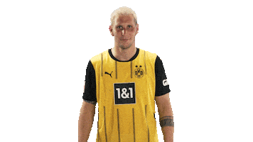 Knock Borussia Dortmund Sticker by Bundesliga