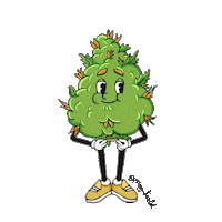 Cactus Bush Sticker