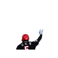 Kimdoyoung Kiatigers Sticker