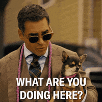 Mad Little Dog GIF by ABC Network