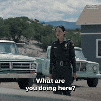 Why Are You Here Whats Up GIF by AMC Networks