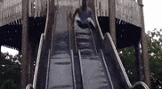 GIF by Giffffr