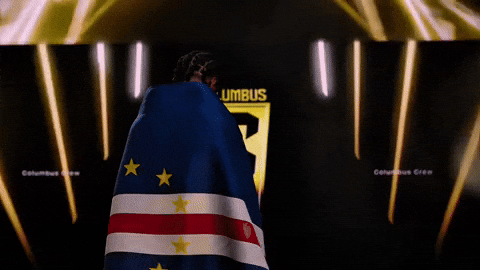 World Cup Mls GIF by Major League Soccer