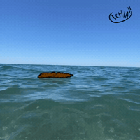 T9Chia GIF