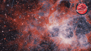 James Webb Stars GIF by ESA Webb Space Telescope