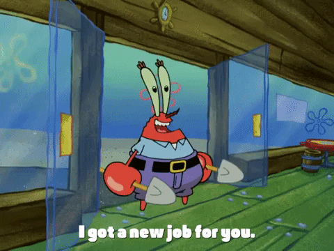 season 4 GIF by SpongeBob SquarePants