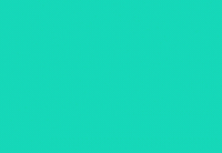 Colors GIF by Festland