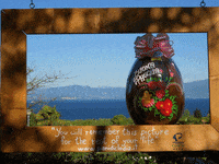 HolidayParkPianidiClodia  GIF