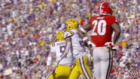 College Sports Sport GIF by LSU Tigers