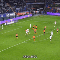 Ardamol GIF