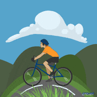 Fox Bike GIF by Animation Domination High-Def