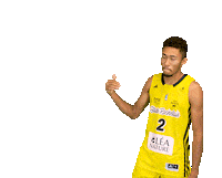 Basketball Basket Sticker by Stade Rochelais