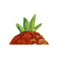 Illustration Princess Sticker by Macmillan Kids