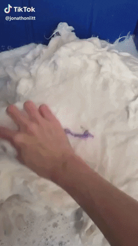 swanjun30 giphyupload GIF