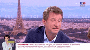 2022lecologie 2022 eelv jadot yannick jadot GIF