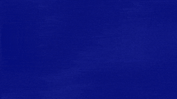 Category What Is Happening GIF by Jeopardy!