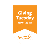 Givingtuesday Sticker by MJFF Staff