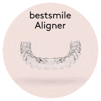 Booking Swiss Made Sticker by bestsmile