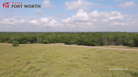 Travel Adventure GIF by Visit Fort Worth