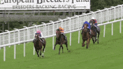 sir henry cecil champion GIF by World Horse Racing