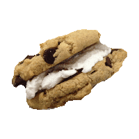 ice cream cookie STICKER by imoji