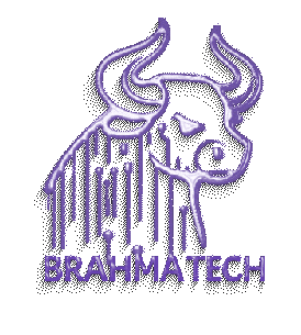 Sticker by Brahma Tech